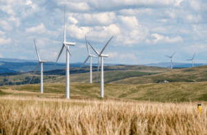 The image depicts wind mills that produce wind powered energy. 